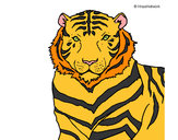 Dibujo Tigre 3 pintado por feros415