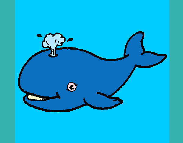 ballena azulita