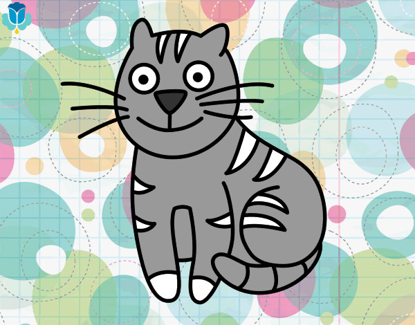 Dibujo Gato simpático pintado por poli987
