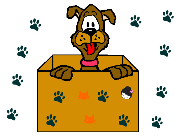 Dibujo Perro dentro de caja pintado por milenita19