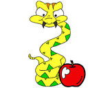 Dibujo Serpiente y manzana pintado por camilo50