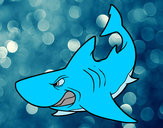 Dibujo Tiburón enfadado pintado por 5826726jor