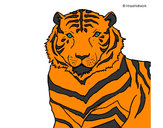 Dibujo Tigre 3 pintado por ateraty