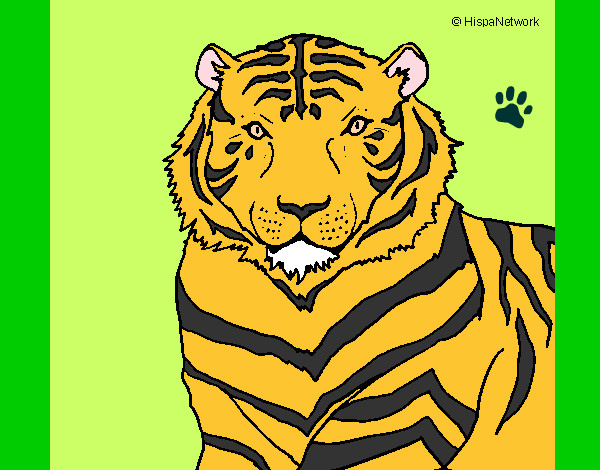 Dibujo Tigre 3 pintado por Josse96