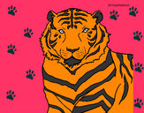 Dibujo Tigre 3 pintado por JUAPIS