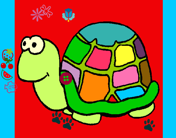 tortuga colorida