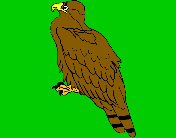 Dibujo Águila pintado por Danneliese
