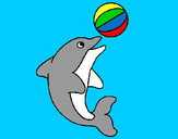Dibujo Delfín jugando con una pelota pintado por federicci
