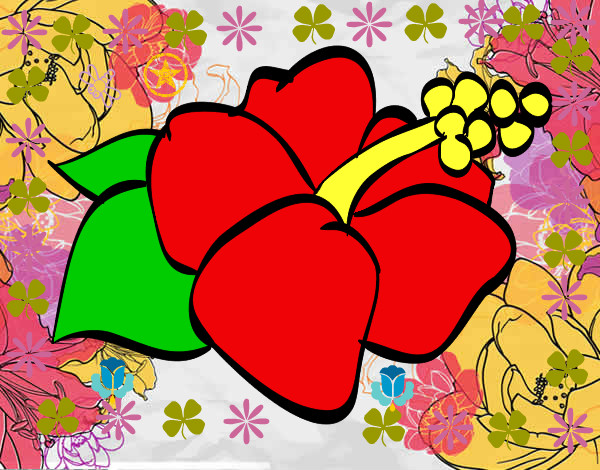 Dibujo Flor de lagunaria pintado por Evelyn9