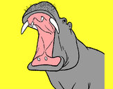 Dibujo Hipopótamo con la boca abierta pintado por federicci