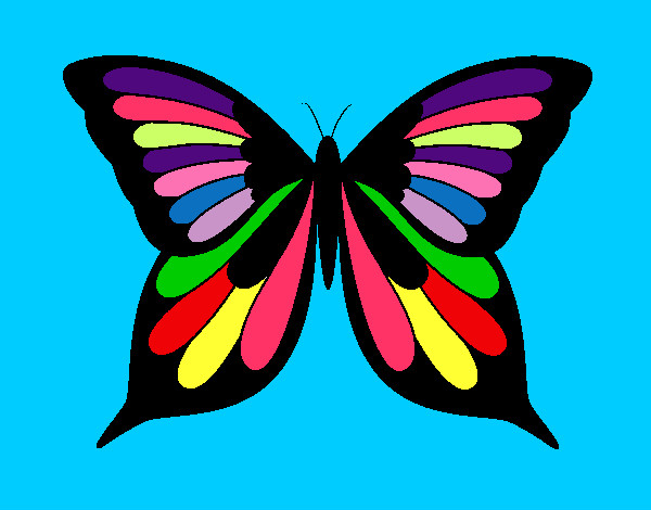 Mariposa Multicolor.