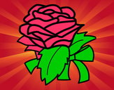 Dibujo Rosa, flor pintado por aureli