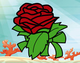 Dibujo Rosa, flor pintado por cazmi