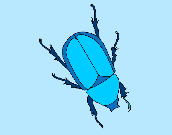 Dibujo Escarabajo pintado por anjana