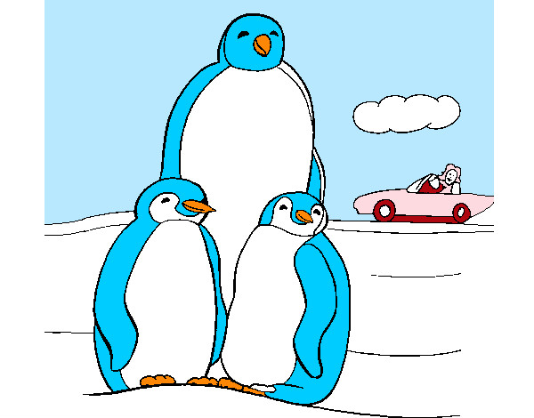 pingüinos