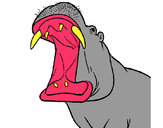 Dibujo Hipopótamo con la boca abierta pintado por Alba-R