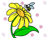 Dibujo Margarita con abeja pintado por floreci