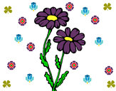 Dibujo Margaritas pintado por floreci
