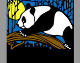 Dibujo Oso panda comiendo pintado por pingo