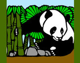 Dibujo Oso panda y bambú pintado por paola89