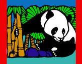 Dibujo Oso panda y bambú pintado por pingo