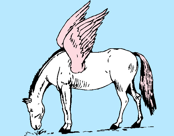 pegasus