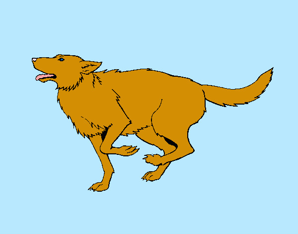 Dibujo Perro corriendo pintado por gorrion