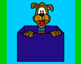 Dibujo Perro dentro de caja pintado por pingo