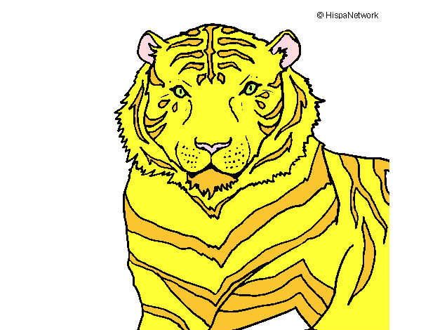 Dibujo Tigre 3 pintado por Alba-R