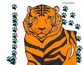 Dibujo Tigre 3 pintado por gamon