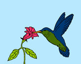 Dibujo Colibrí y una flor pintado por laila5433