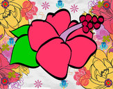 Dibujo Flor de lagunaria pintado por Aleja34444