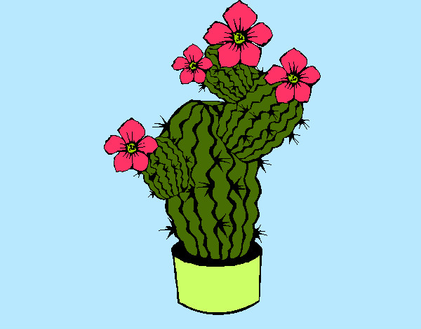 Dibujo Flores de cactus pintado por SweetLips