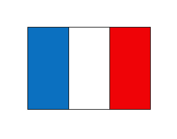Dibujo Francia pintado por federicci