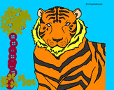 Dibujo Tigre 3 pintado por calabazon