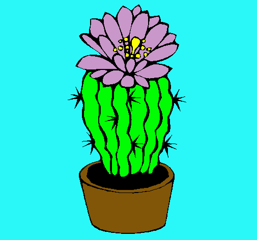Dibujo Cactus con flor pintado por dominique1