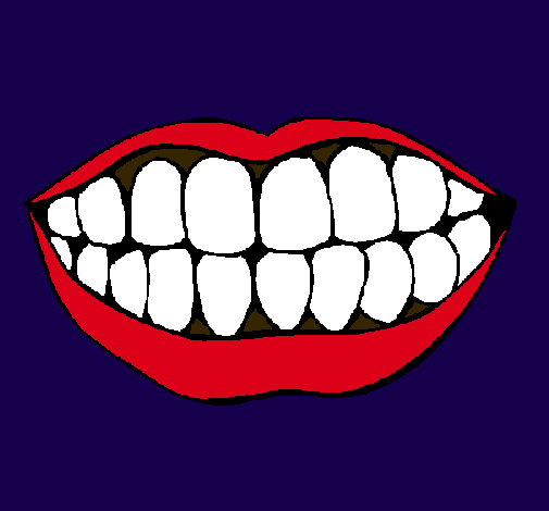 Boca y dientes