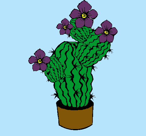 Flores de cactus