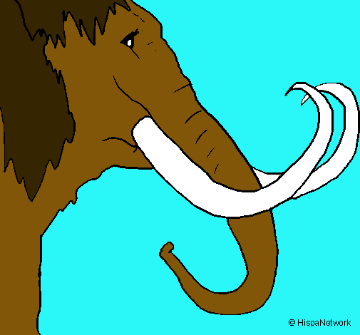 Mamut