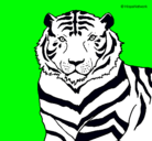 Dibujo Tigre pintado por Marck12