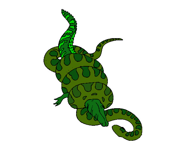 Dibujo Anaconda y caimán pintado por DARC