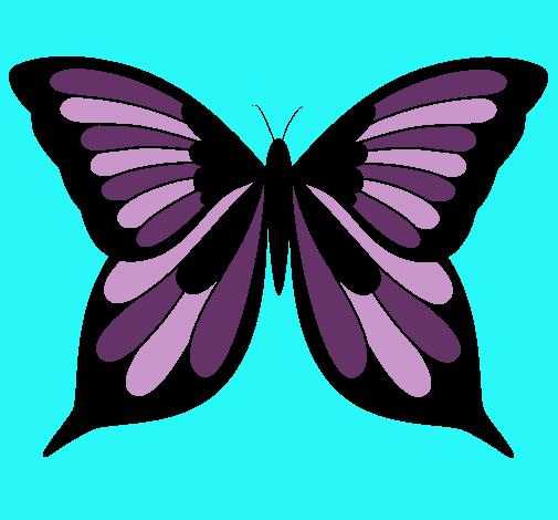 Mariposa