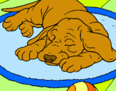 Dibujo Perro durmiendo pintado por tify18