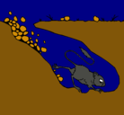 Dibujo Canguro rata pintado por estebanandre