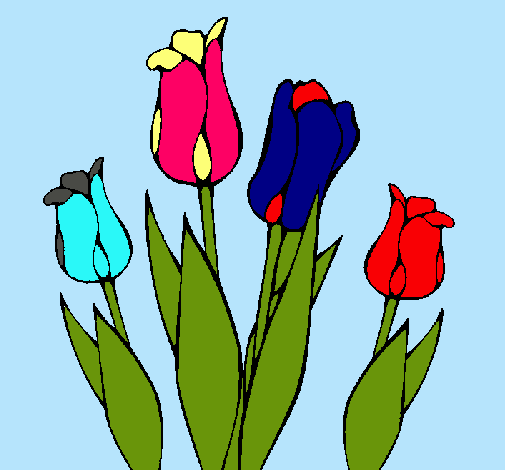 Tulipanes