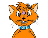 Dibujo Gato con collar pintado por chachacha