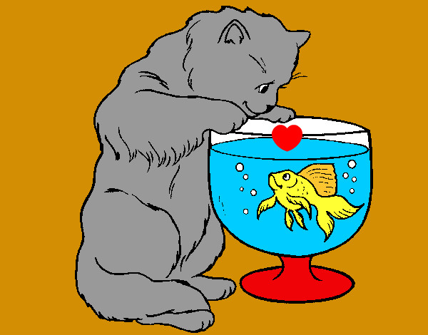 gatito amigo del pez