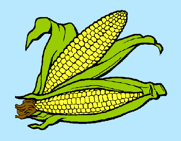 Dibujo Mazorca de maíz pintado por PALOMA0