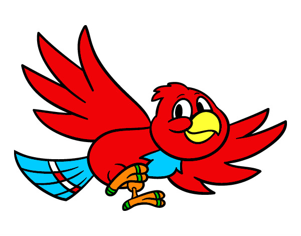 Pájaro rojo 