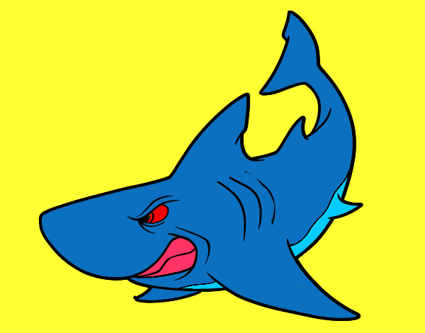 Dibujo Tiburón enfadado pintado por POL_B